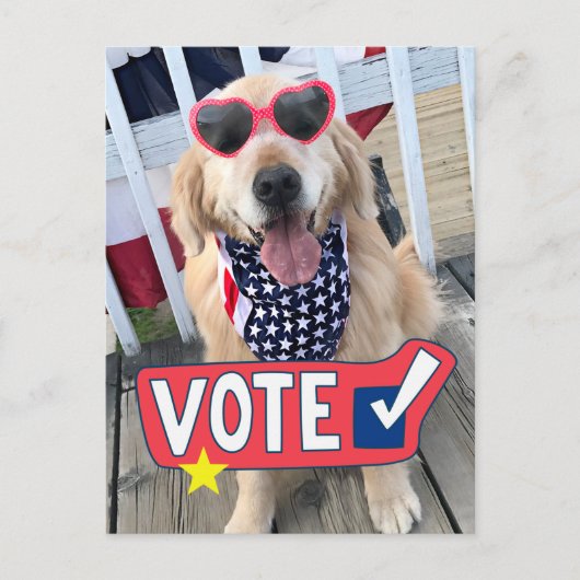 Patriotic Golden Retriever Dog Vote Postkarte (Vorderseite)