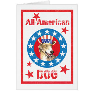 Patriotic Greyhound