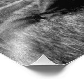 Patriotic Group Women American Flag Circa 1910 Fotodruck (Ecke)