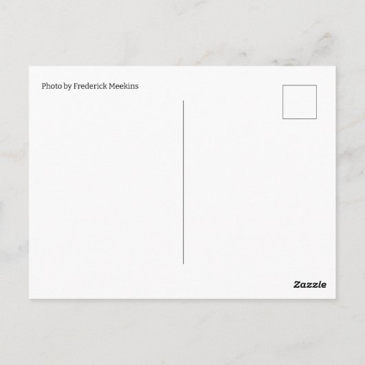 Patriotic Maiden Postkarte (Rückseite)