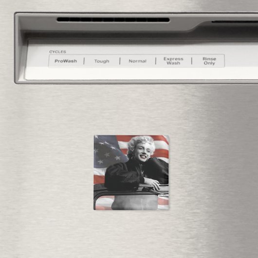 Patriotic Marilyn Magnet (In Situ (Geschirrspüler))