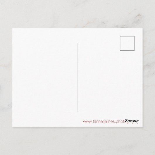 Patriotic & Peace Postkarte (Rückseite)