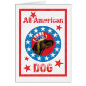 Patriotic Plott Hound (Vorne)