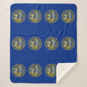 Patriotic Sherpa Blanket mit Nebraska-Flagge Sherpadecke (Vorderseite)