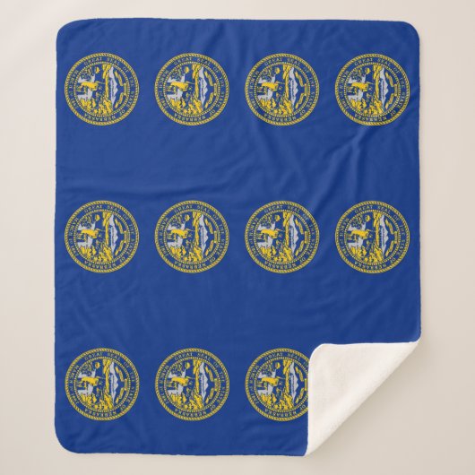 Patriotic Sherpa Blanket mit Nebraska-Flagge Sherpadecke (Vorderseite)
