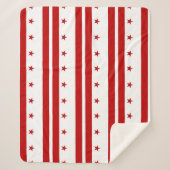 Patriotic Sherpa Blanket mit Washington DC Flagge Sherpadecke (Vorderseite)