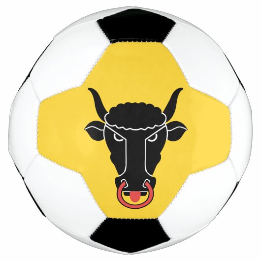 Patriotic Soccer Ball with Flag of Uri (Vorderseite)