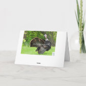 Patriotic Turkey Strut Karte (Rückseite)