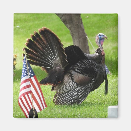 Patriotic Turkey Strut Magnet (Vorne)