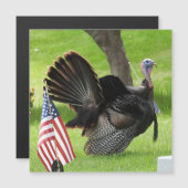 Patriotic Turkey Strut Magnet Grußkarte (Vorne/Hinten)