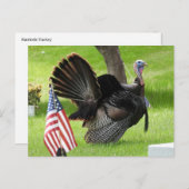 Patriotic Turkey Strut Postkarte (Vorne/Hinten)