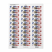 Patriotic United Staaten Bald Eagle (Vorne)