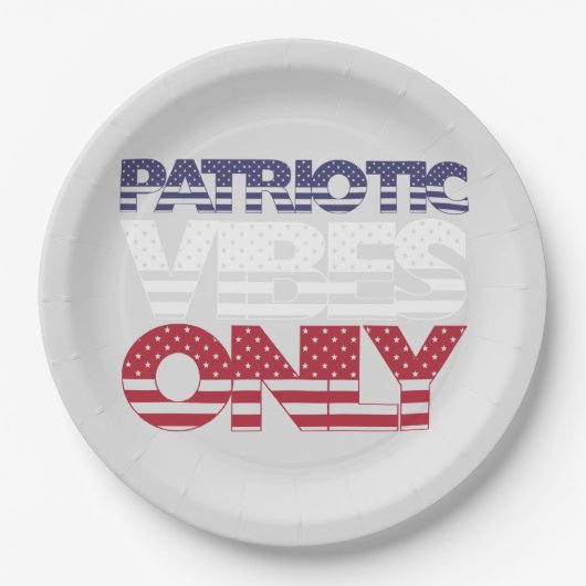 Patriotic Vibes Only US Flagge USA Funny Pappteller (Vorderseite)