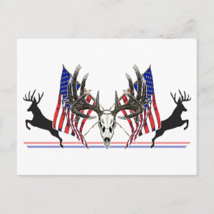 Patriotic Whitetail buck Postkarte