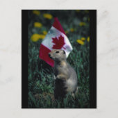 Patriotisch Postkarte (Vorderseite)