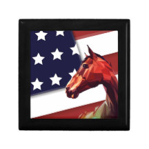 Patriotische amerikanische Flagge und Pferd
