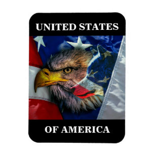 Patriotische amerikanische Flagge Weißkopfseeadler Magnet