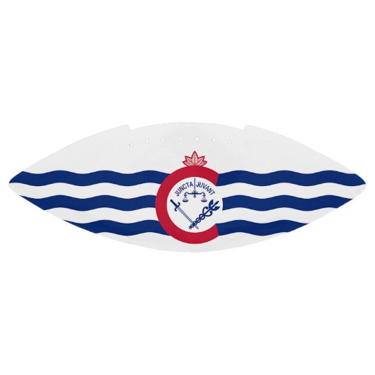 Patriotische amerikanische Fußballflagge Cincinnat Football (Panel)