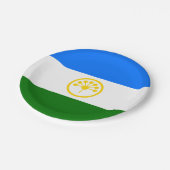 Patriotische Bashkortostan-Flagge Pappteller (Schrägansicht)