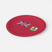 Patriotische Bermuda-Flagge Pappteller (Schrägansicht)