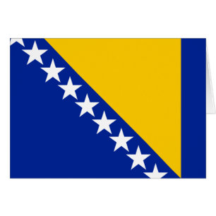 Patriotische bosnisch-herzegowinische Flagge