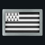 Patriotische Bretagne Rechteckige Gürtelschnalle<br><div class="desc">Patriotische Flagge der Bretagne.</div>