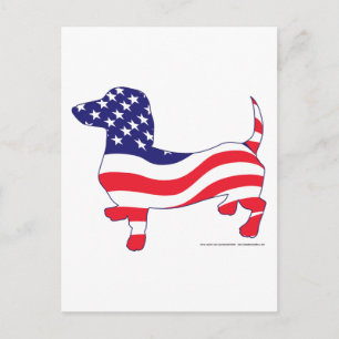 Patriotische Dackel / Dackel Postkarte