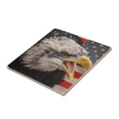 Patriotische Eagle-Bild-Fliese Fliese (Seite)