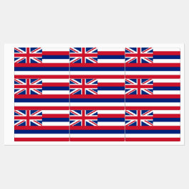 Patriotische Etiketten mit der Flagge des Hawaii-S