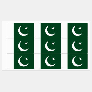 Patriotische Etiketten mit pakistanischer Flagge