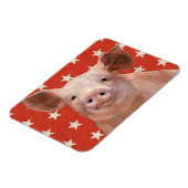 Patriotische Farm - Schwein Magnet (Linke Seite)