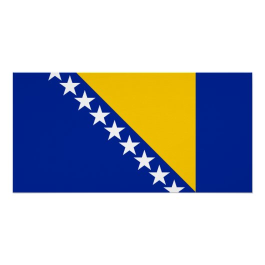 Patriotische Flagge Bosnien-Herzegowina Poster (Vorderseite)
