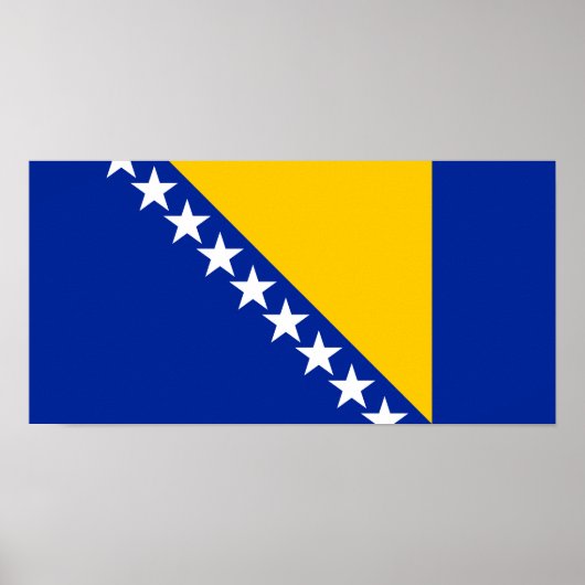 Patriotische Flagge Bosnien-Herzegowina Poster (Vorne)