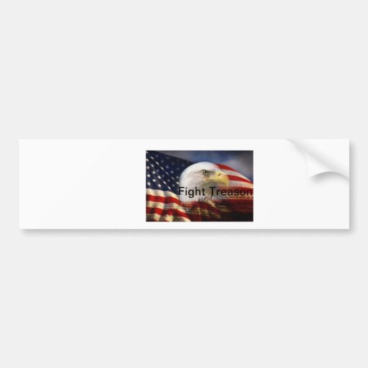 Patriotische Flagge und Adler Autoaufkleber (Vorne)