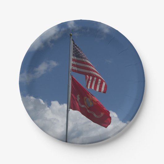 Patriotische Flaggen und ein blauer Himmel auf ein Pappteller (Vorderseite)