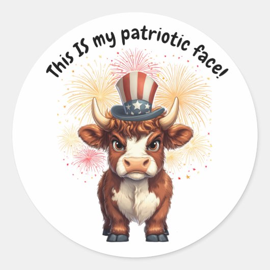 Patriotische Gesichtshühner Runder Aufkleber (Vorderseite)