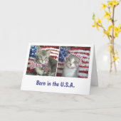 Patriotische Kätzchen Karte (Gelbe Blume)