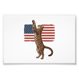 Patriotische Katze Amerikanische Flagge Vintage Ve Fotodruck