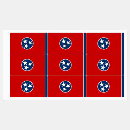 Patriotische Labels mit der Flagge des Tennessee-S Etiketten