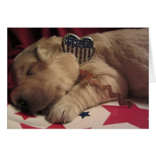 Patriotische Lucy