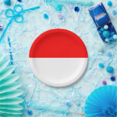 Patriotische Papierplatte mit Flagge Indonesiens Pappteller (Party)