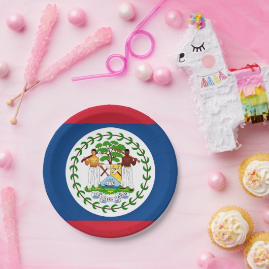Patriotische Papierplatte mit Flagge von Belize Pappteller (Party)