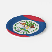 Patriotische Papierplatte mit Flagge von Belize Pappteller (Schrägansicht)