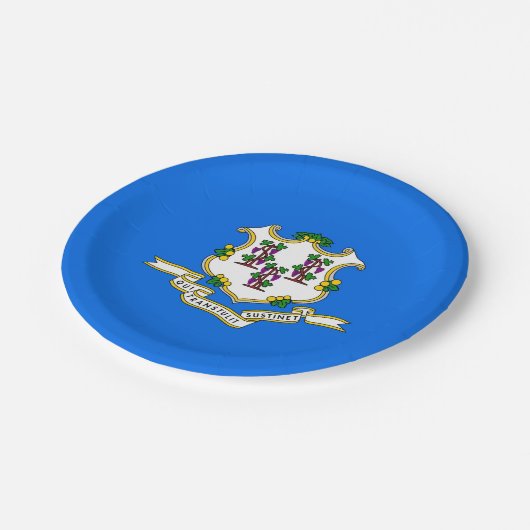 Patriotische Papierplatte mit Flagge von Connectic Pappteller (Schrägansicht)