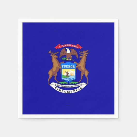 Patriotische Papierservietten mit Fahne von Michig (Vorderseite)