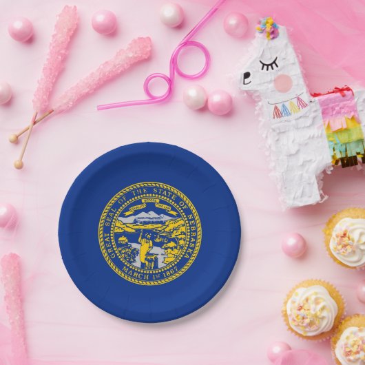 Patriotische Papiertafel mit der Flagge Nebraskas Pappteller (Party)