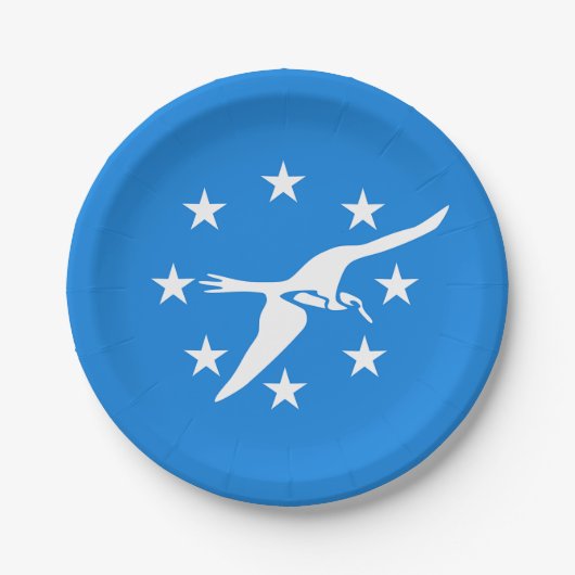 Patriotische Papiertafel mit der Flagge von Corpus Pappteller (Vorderseite)