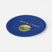 Patriotische Papiertafel mit Fahne von Montana Pappteller (Schrägansicht)