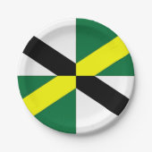 Patriotische Papiertafel mit Fahne von Monterey Ci Pappteller (Vorderseite)