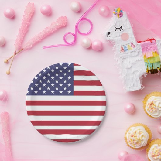 Patriotische Papiertafel mit Flagge der USA. Pappteller (Party)
